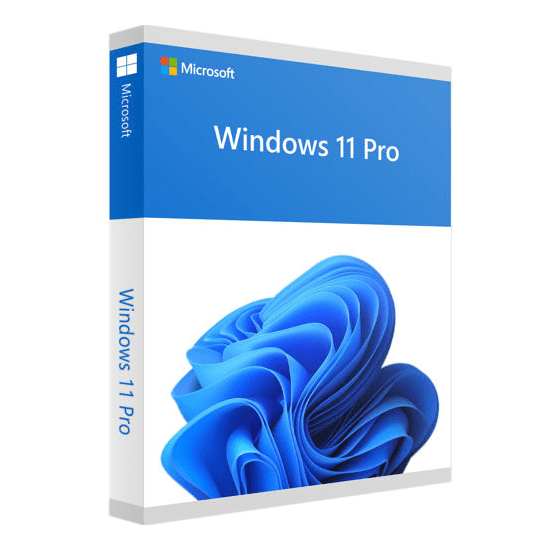 Windows 11 Pro